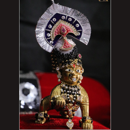 Shyam shringar