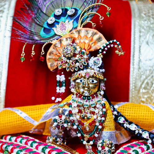 Janmashtmi Milma Shringar