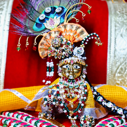 Janmashtmi Milma Shringar